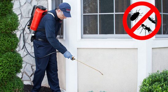 Sığacık Tahtakurusu İlaçlama böcek ilaçlama ve haşere kontrolü — ilaclama-tr.com